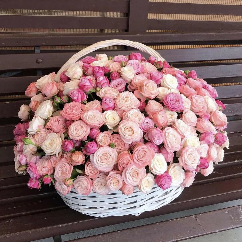 Pink Rosé Garden