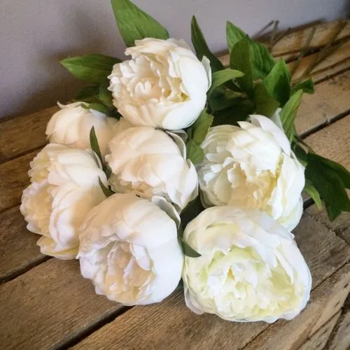 White Peonies