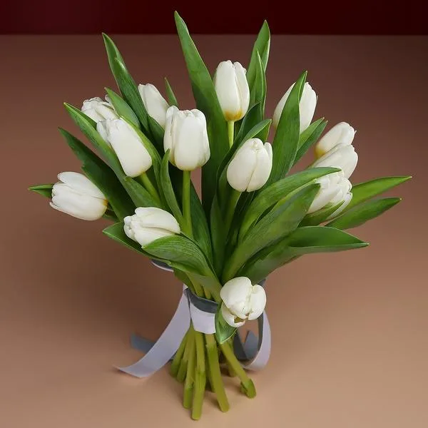 White Tulips