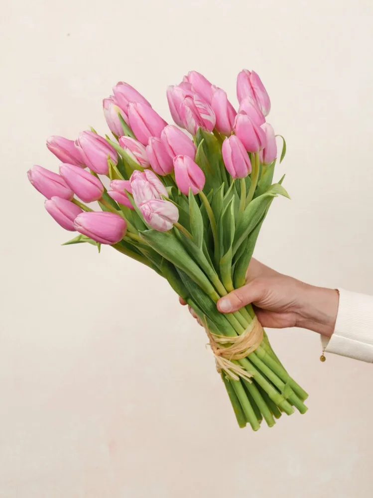 Pink Tulips