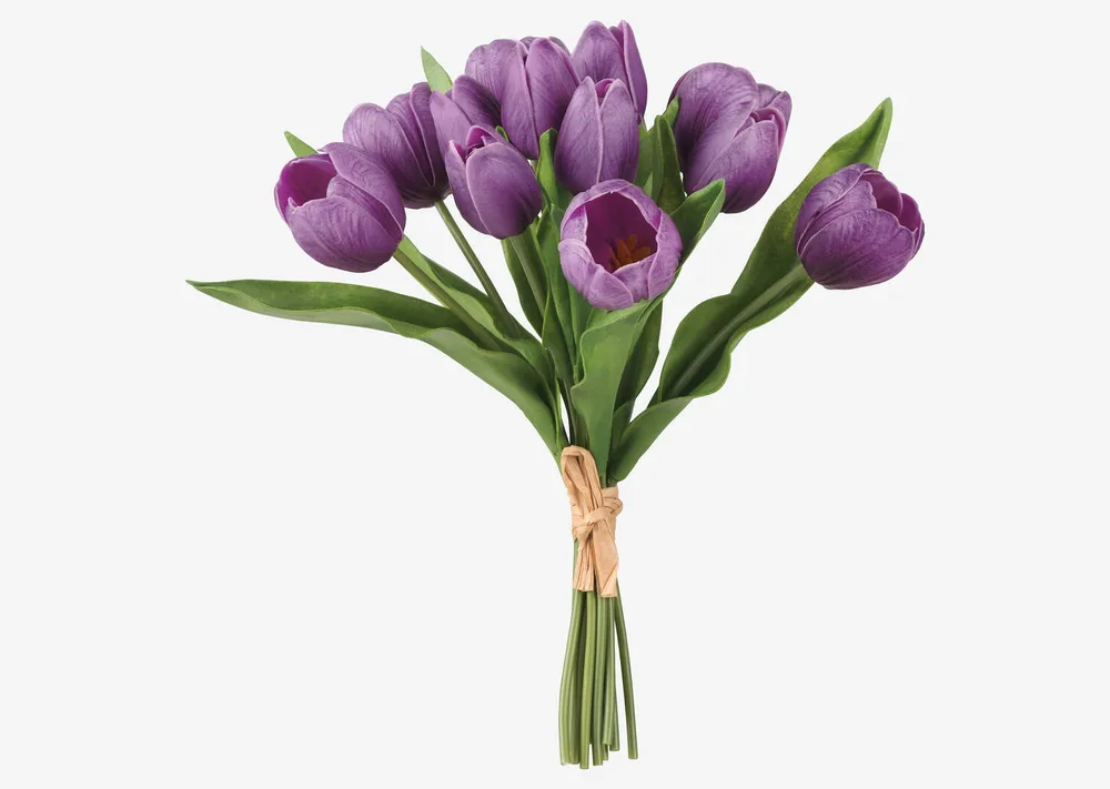 Purple Tulips