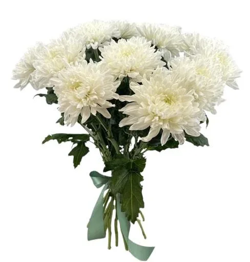 White Chrysanthemums