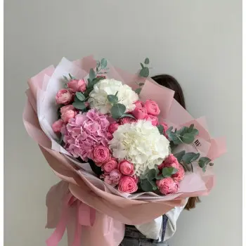 Blush Hydrangea Duet