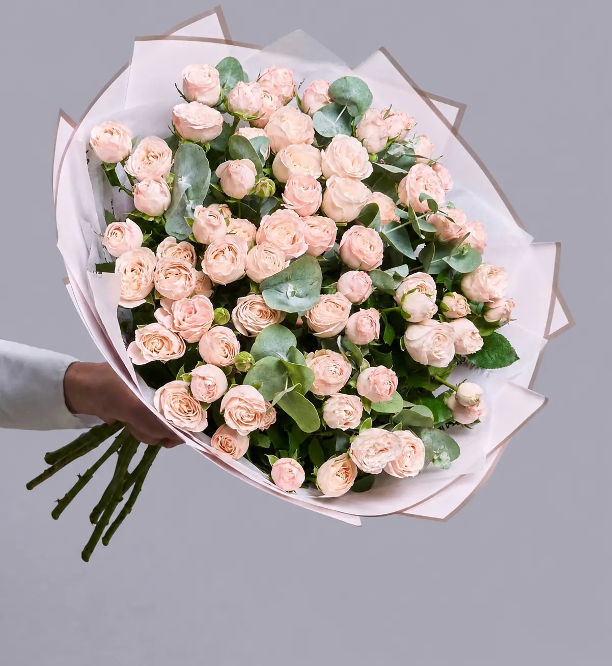 Champagne Spray Roses — 15 Spray roses · eucalyptus