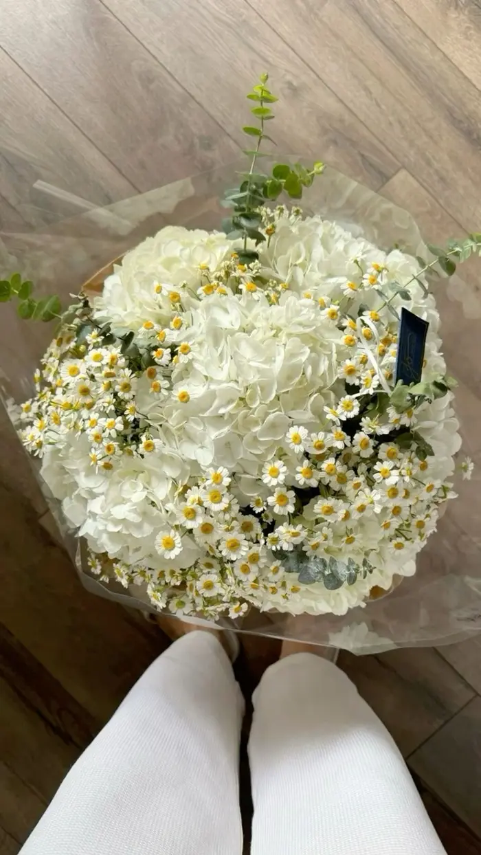 Daisy & Hydrangea Field