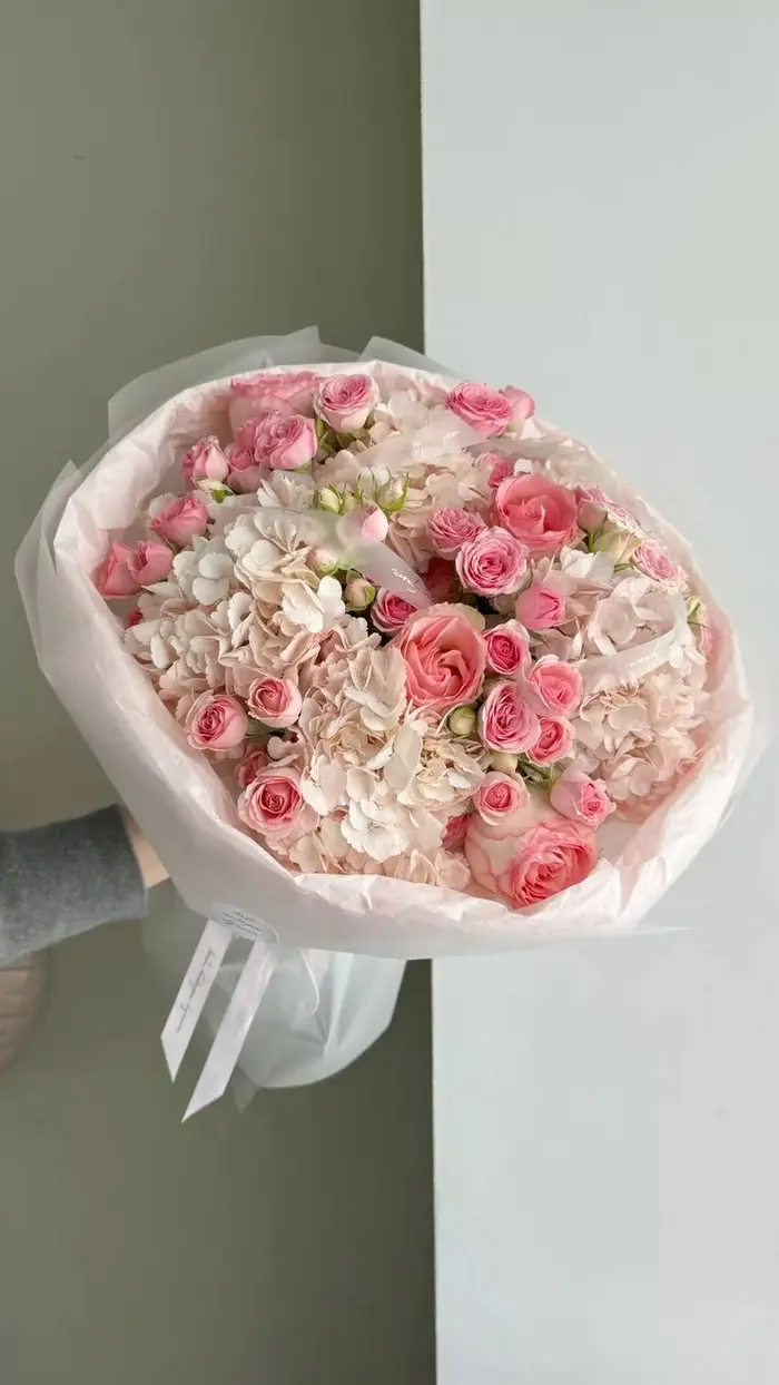 Blush Rose Cloud