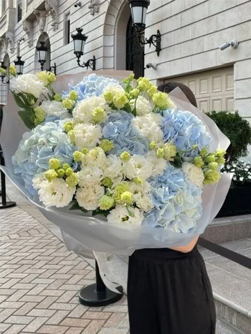 Hydrangea Breeze