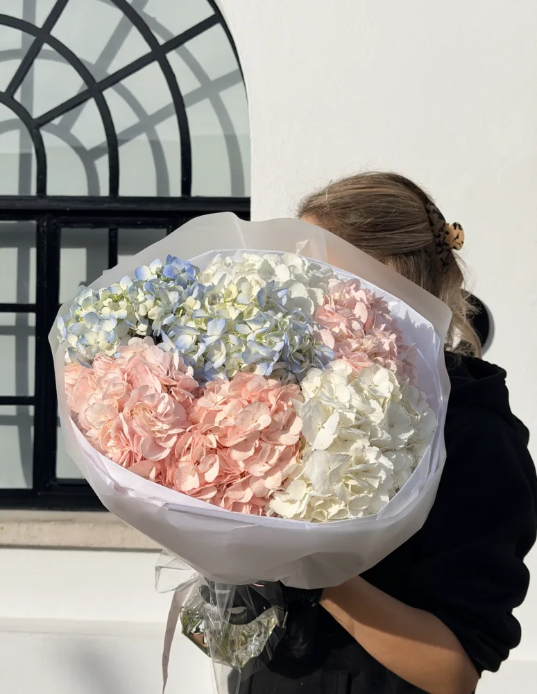 Hydrangea Mix