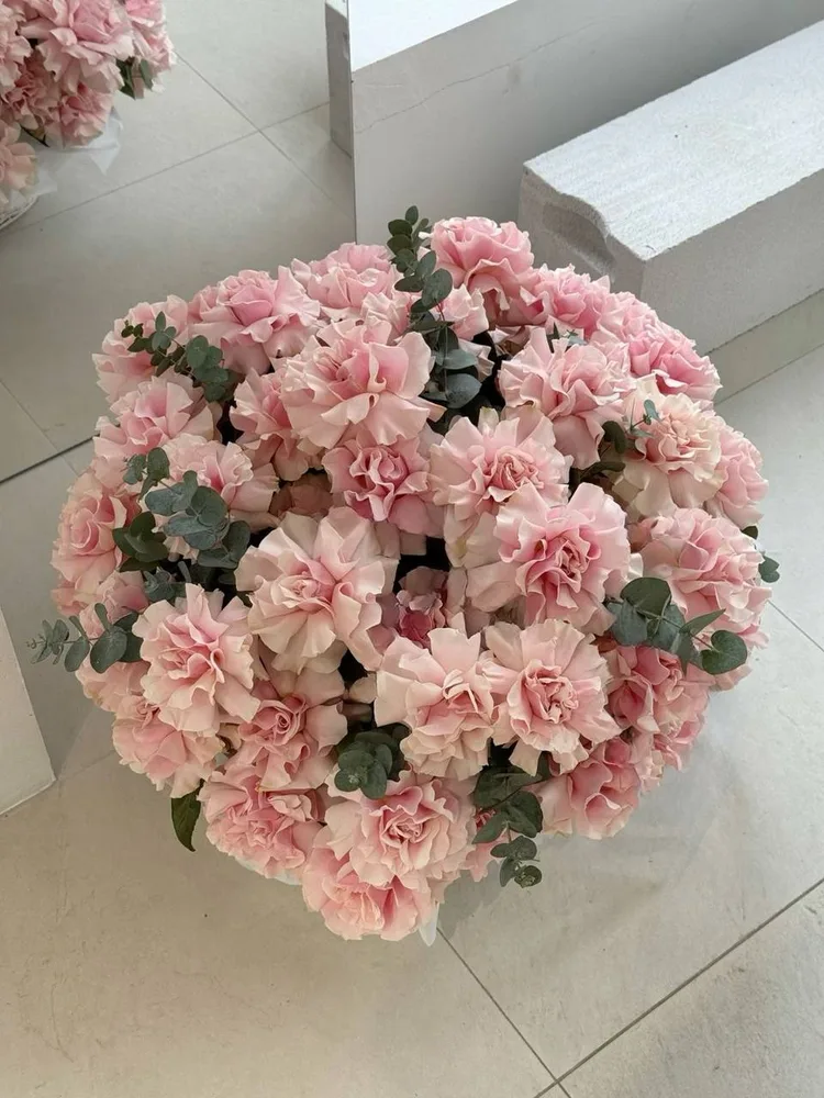 Rosé Petal Dome