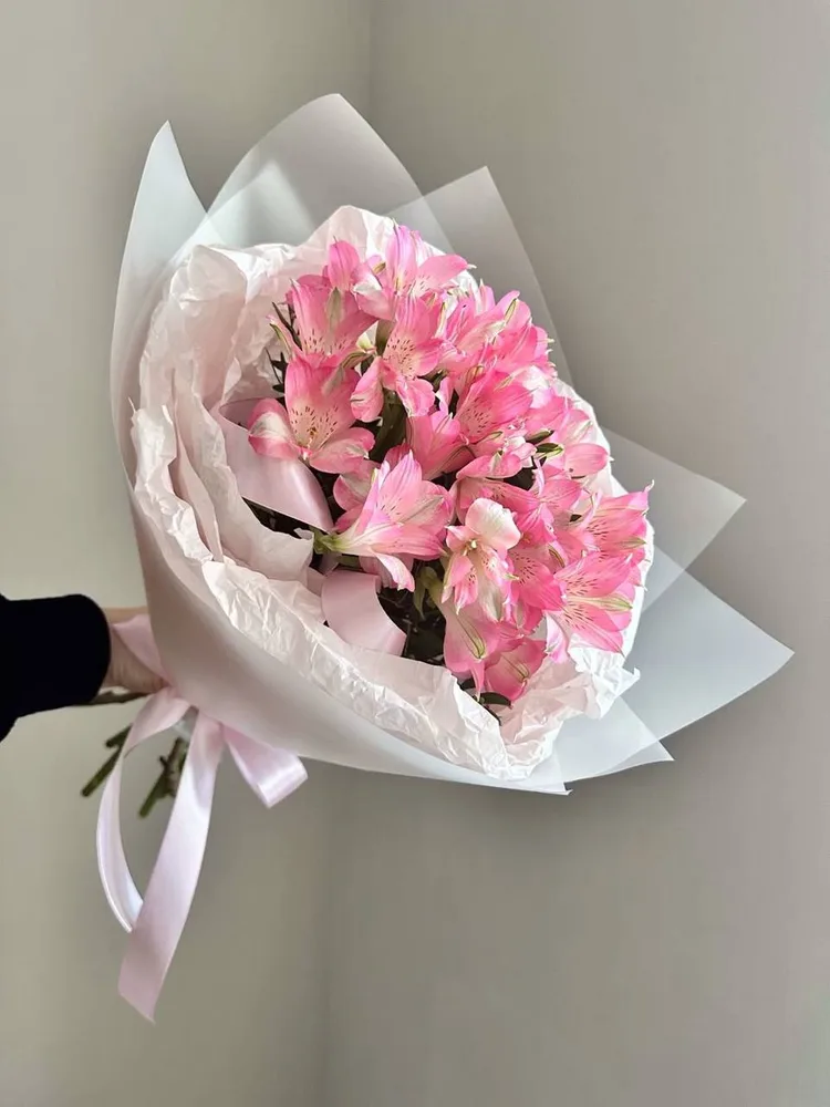 Rosy Lily Whisper
