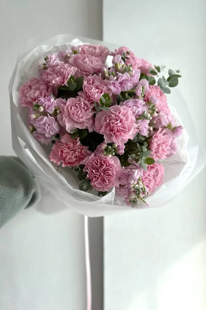 Rosé Ruffle Cloud