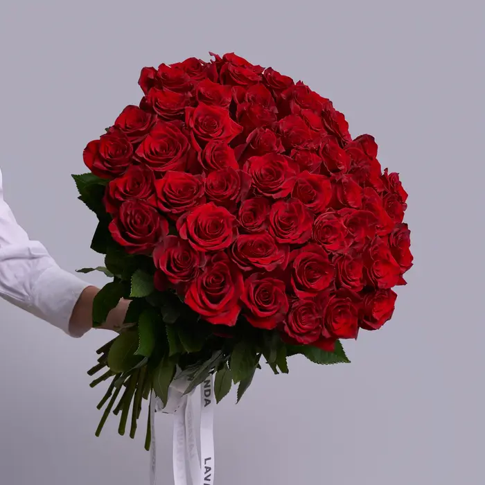 Classic Red Roses