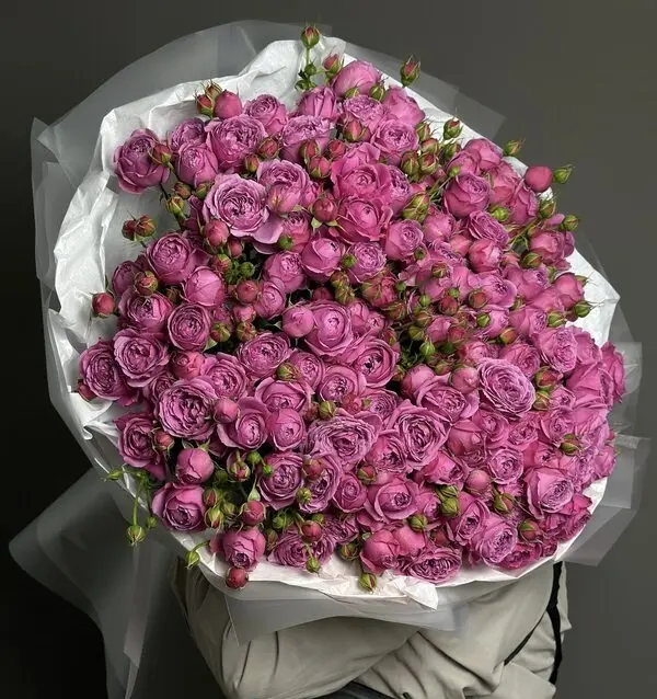 Magenta Spray Roses