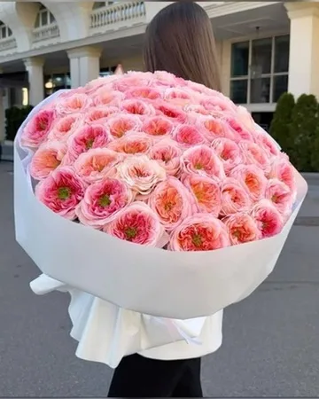 Pink Pearl