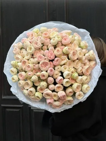 Vanilla Macaron