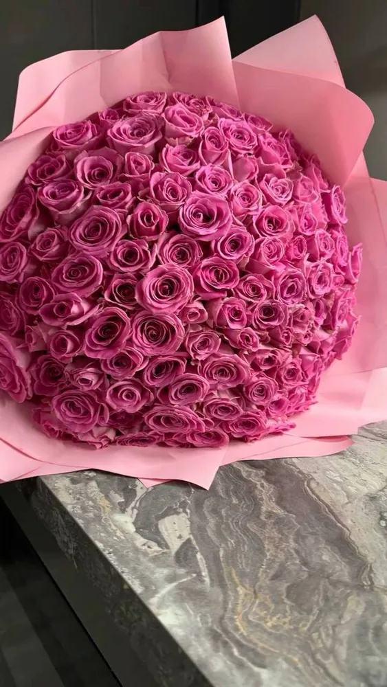 Fuchsia Rose Dome