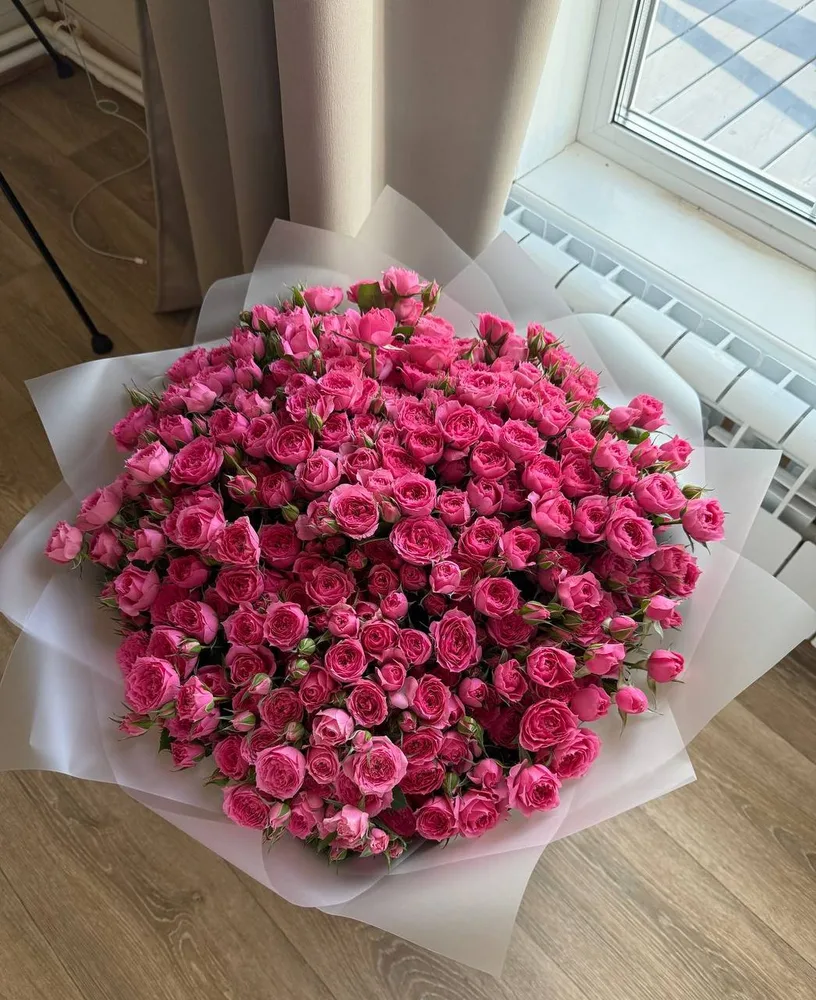 Fuchsia Spray Cascade