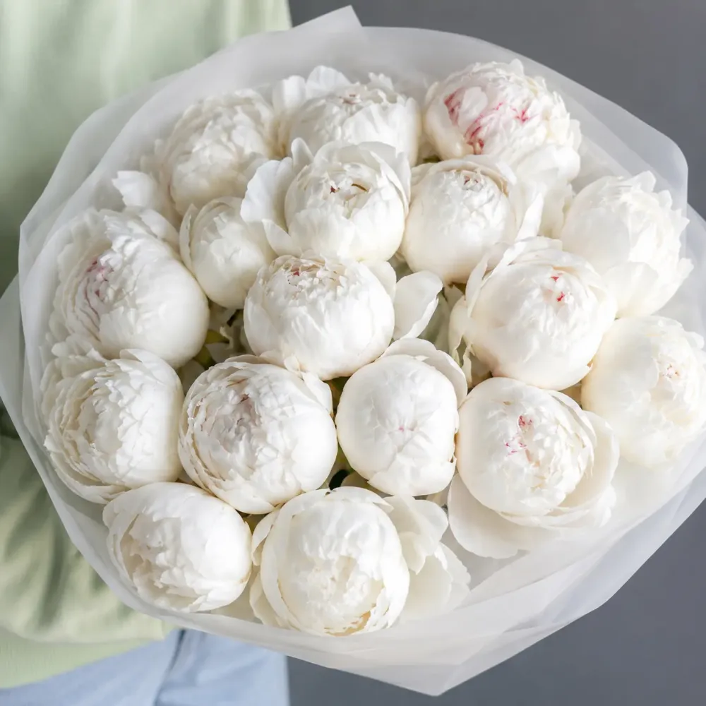 Peonies White