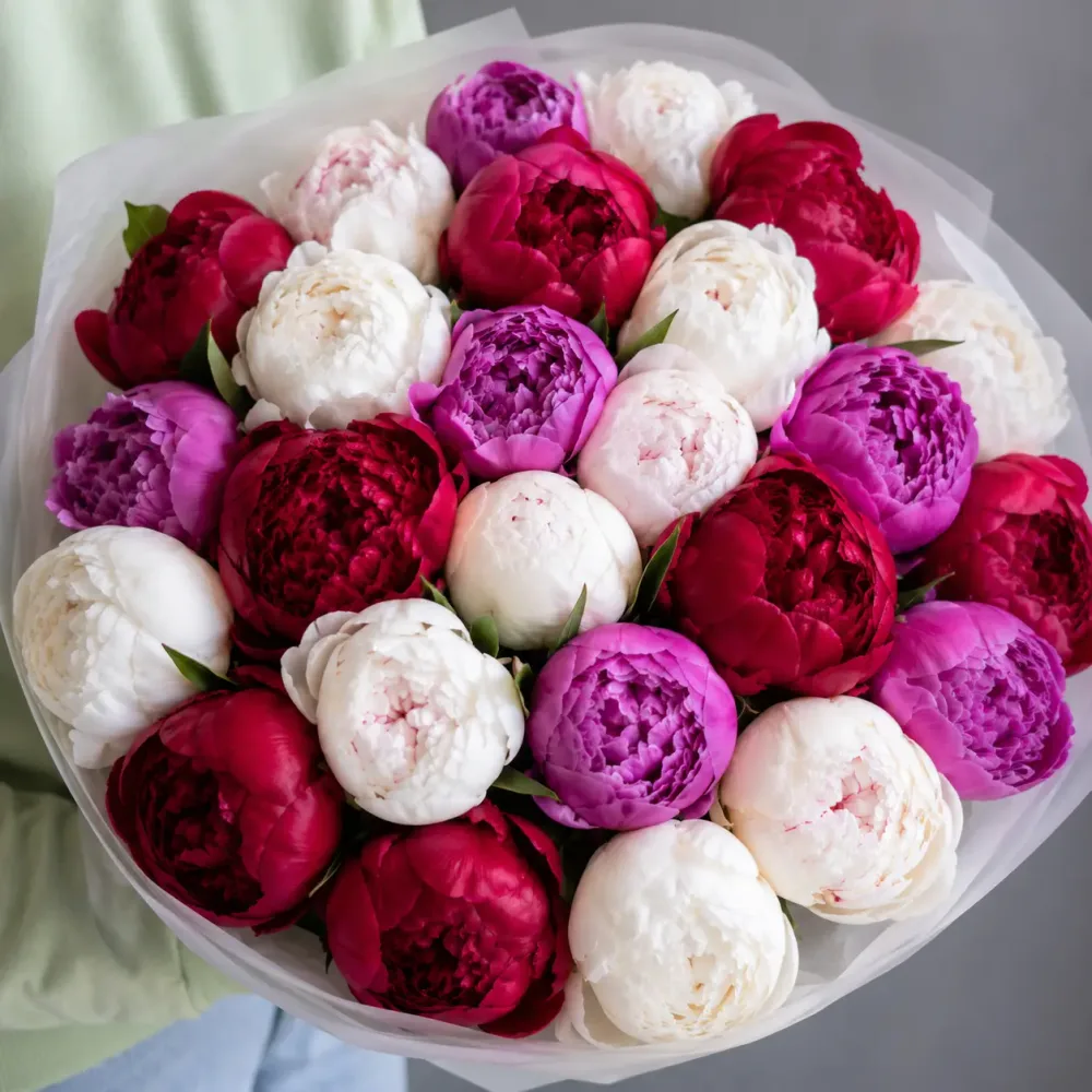 Peonies Mix