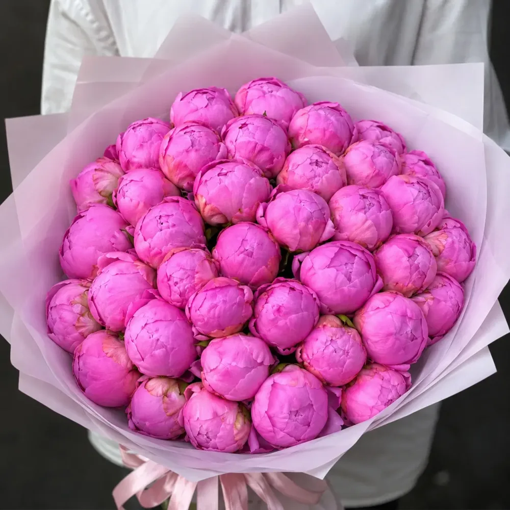 Purple peonies