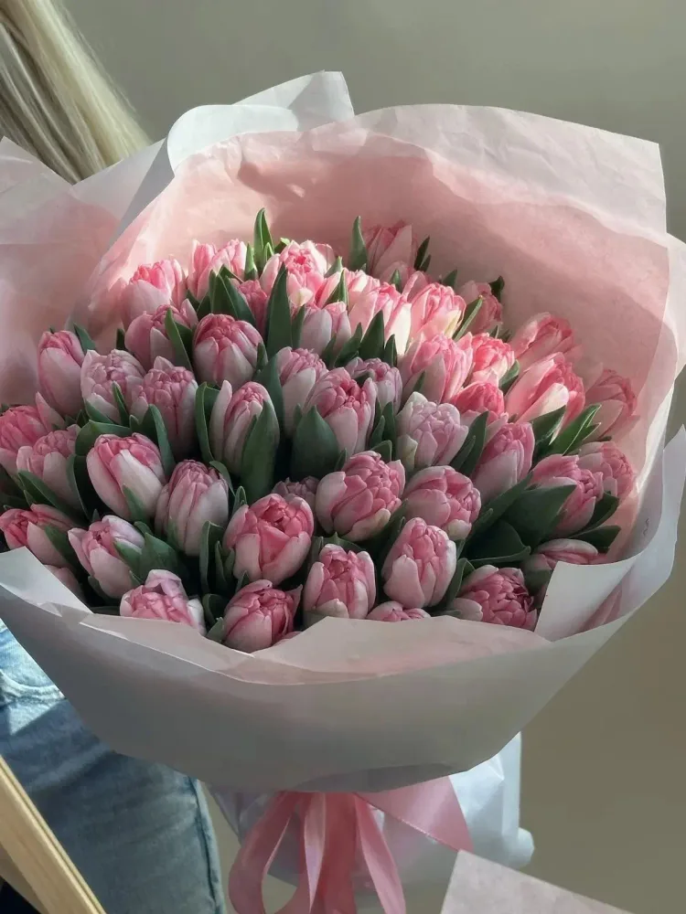 Tulips Pink
