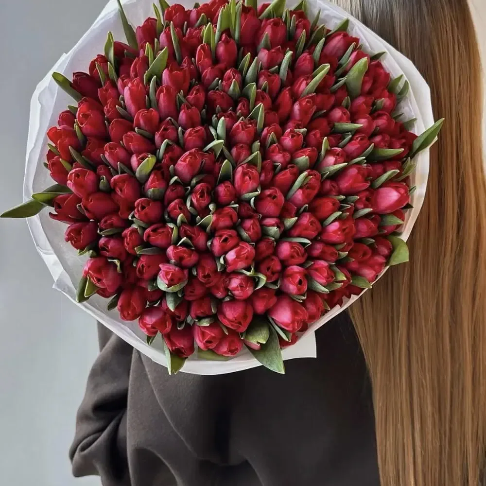 Tulips Red