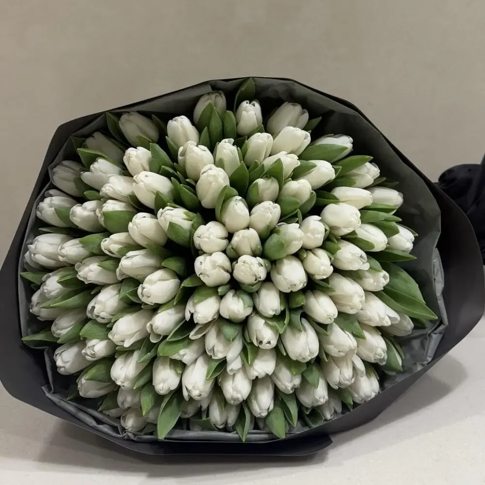 Tulips White