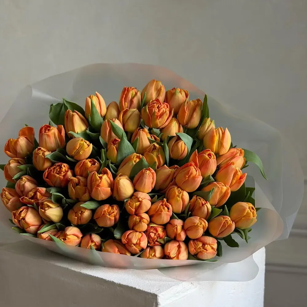 Tulips Orange
