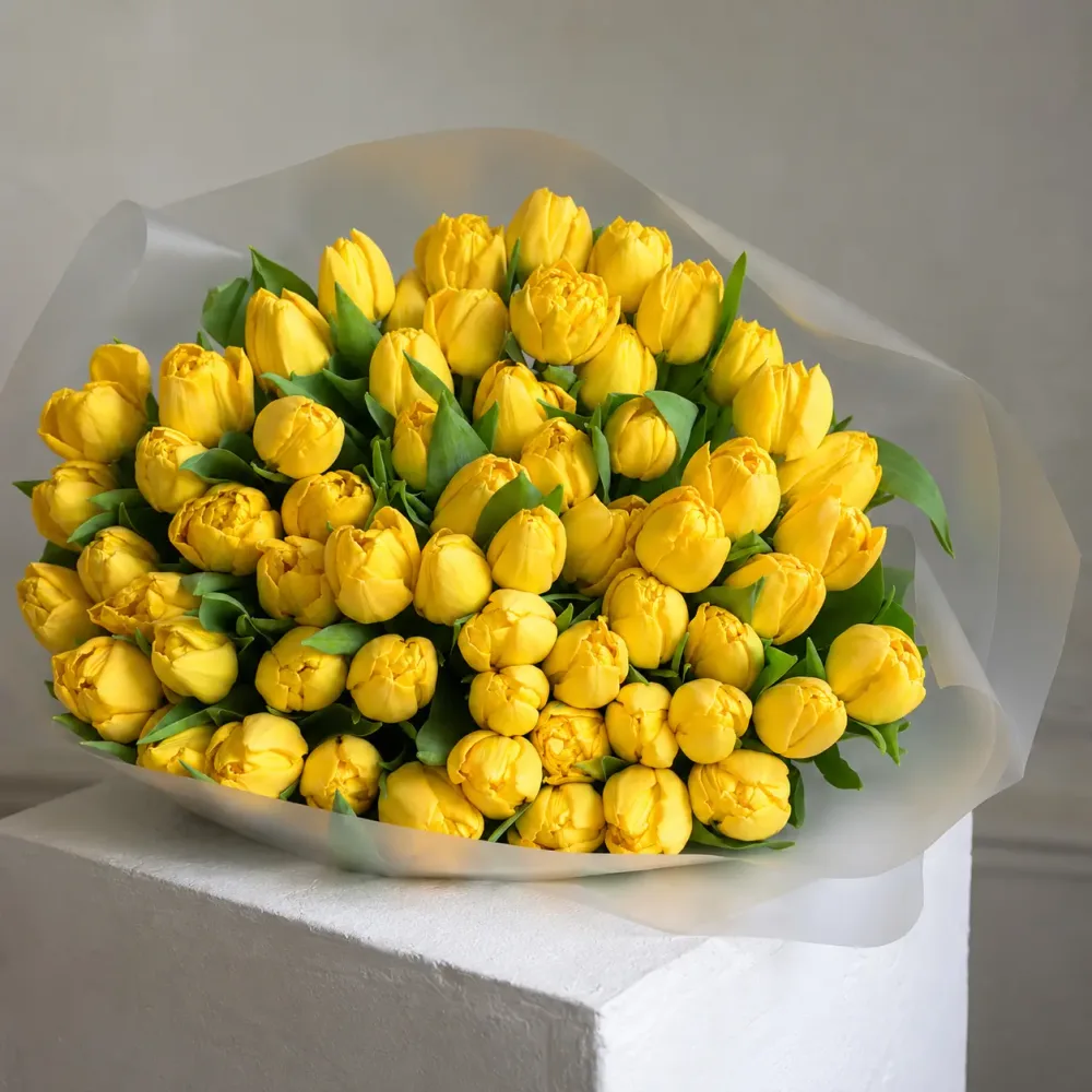 Tulips Yellow
